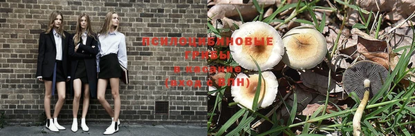 Альфа ПВП Липки