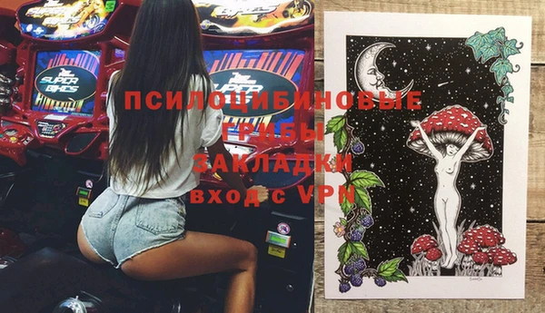 хмурый Лагань