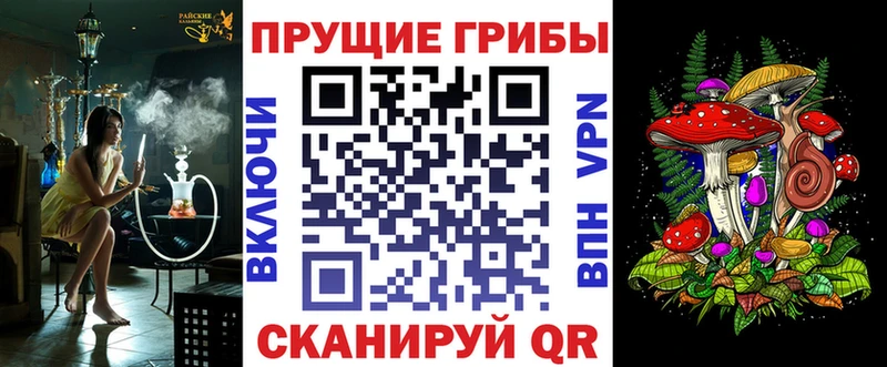 Купить  Дербент  Галлюциногенные грибы MAGIC MUSHROOMS 