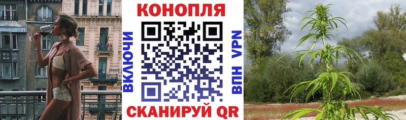 Купить  Дербент  Канабис гибрид 